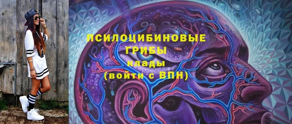 соль курить ск Няндома