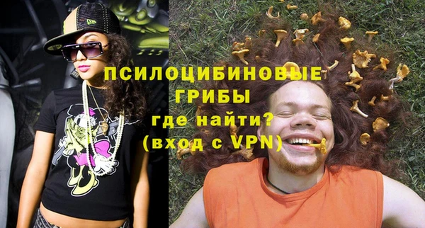 твердый Нягань