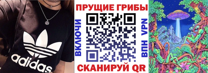 купить   Ярцево  Псилоцибиновые грибы Cubensis 