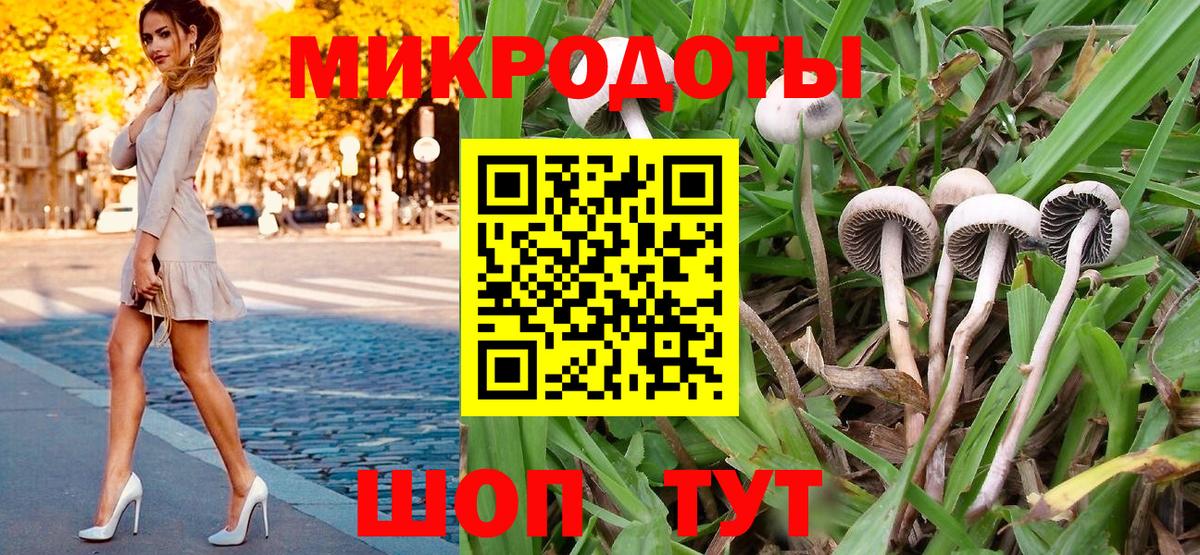 Ярцево  Псилоцибиновые грибы ЛСД  Вход с VPN 
