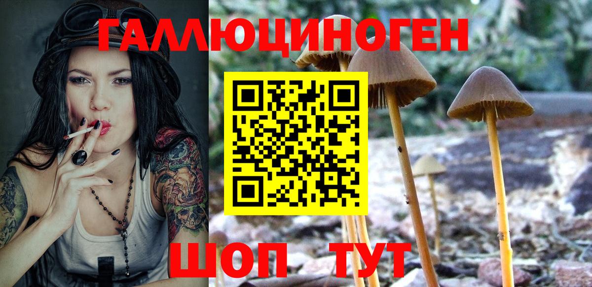 Галлюциногенные грибы ЛСД  Ярцево  Галлюциногенные грибы мицелий 